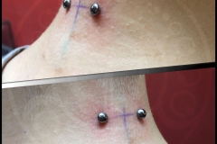 velvetink-ciro-works-4