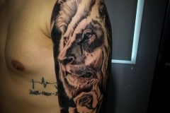 velvetink-matteo-works-6